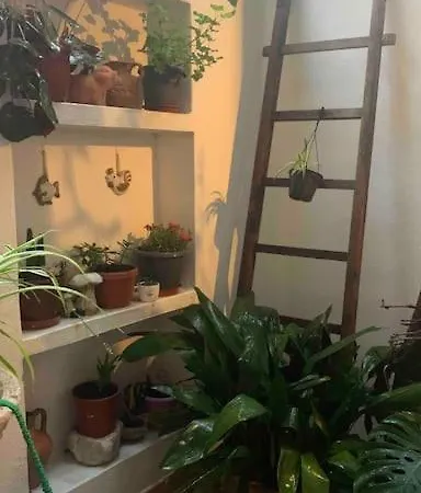 Lägenhet Chloe R2396 Quartu SantʼElena